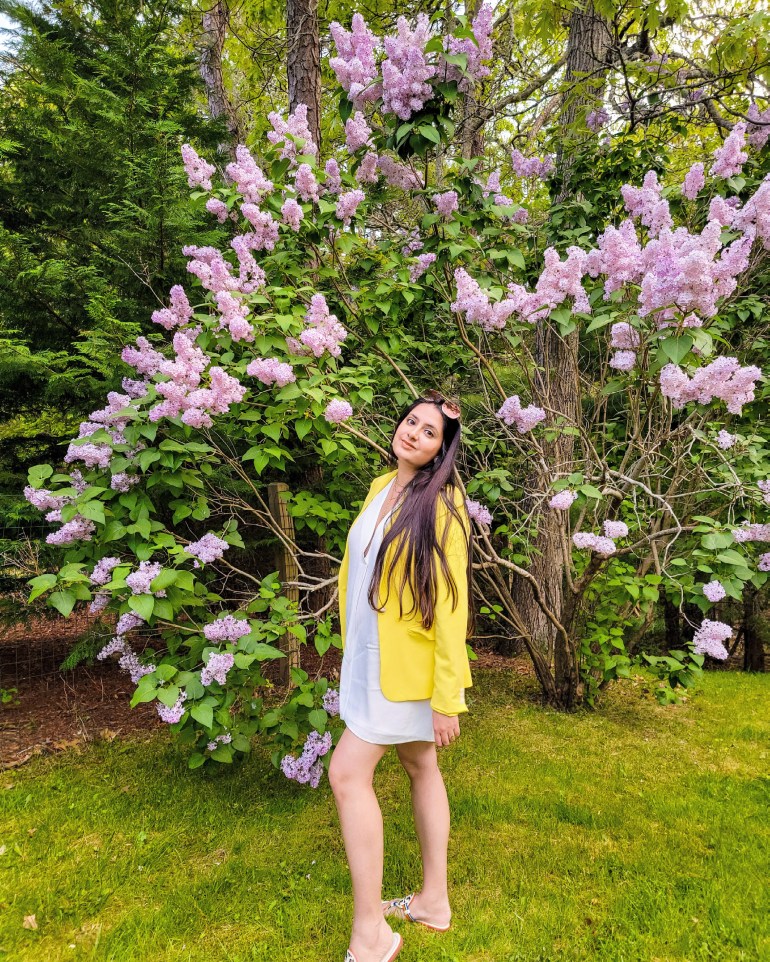 Road Trip: Cape Cod &&nbsp;Provincetown